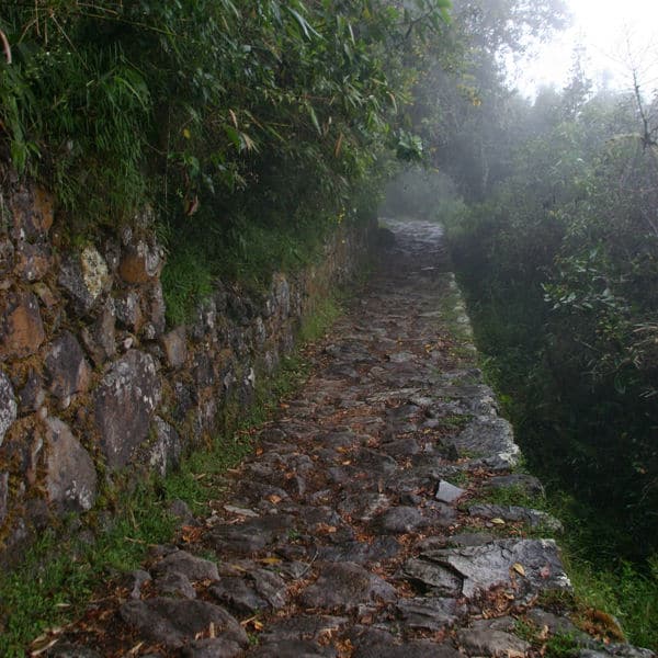 Original Trails